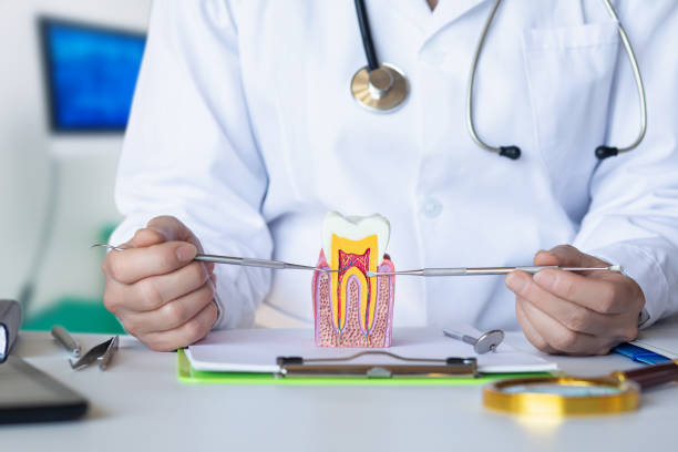 Best Broken or Chipped Tooth Repair in Alliance, OH